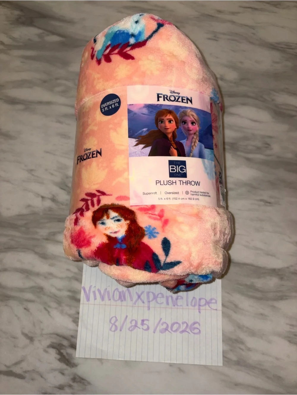 NEW Disney Frozen Anna Elsa Plush Throw Blanket 5x6 FT The Big One Pink Fleece